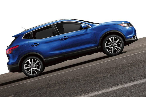 Rogue Sport Performance