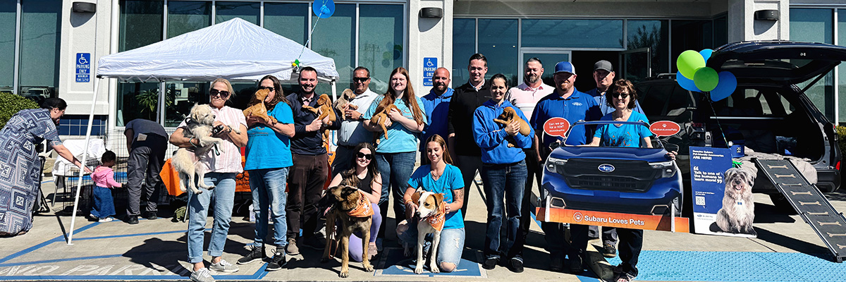 Employee group photo